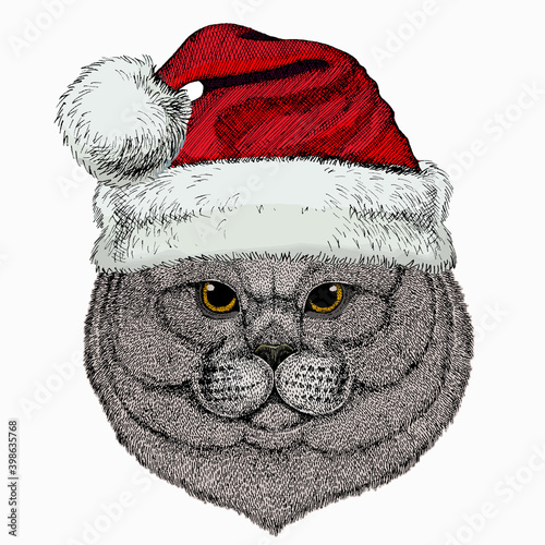 British shorthair cat animal cute face. Christmas winter animal. Red Santa Claus hat. Vector happy silver British kitten head portrait.