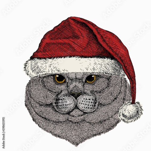 British shorthair cat animal cute face. Christmas winter animal. Red Santa Claus hat. Vector happy silver British kitten head portrait.