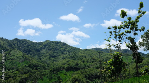 Green hill landscape