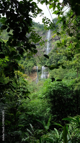 green forest with a small waterfall
