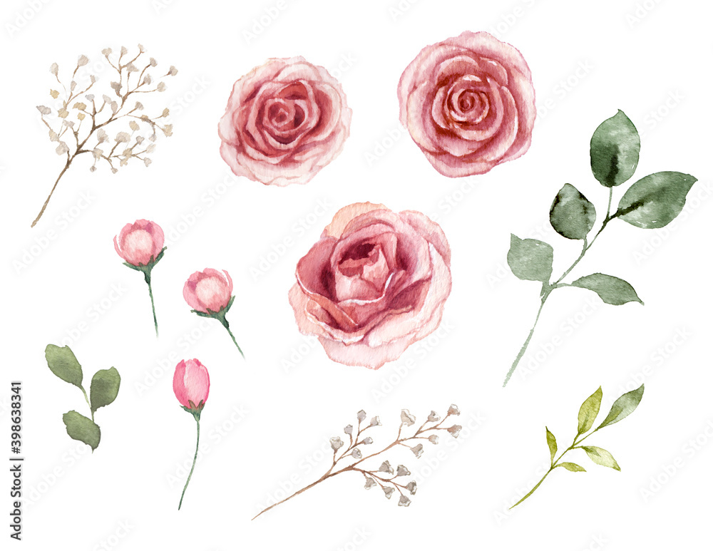 薔薇の花と葉っぱの素材　水彩イラスト