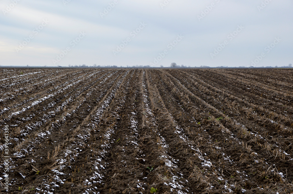 plowed field in winter, Vojvodina