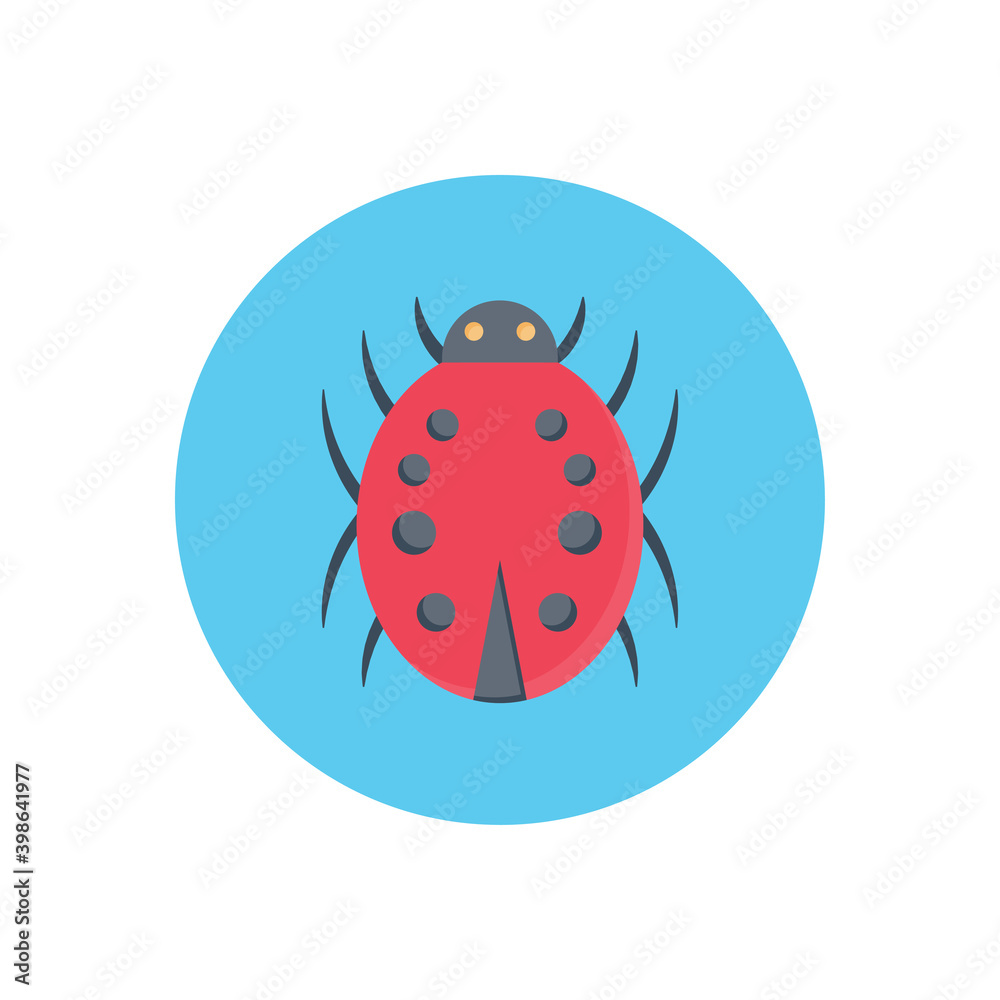 lady bird lady bird