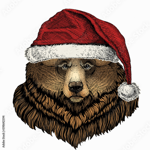 Bear wild animal face. Christmas red Santa Claus hat. Christmas winter animal vector portrait.