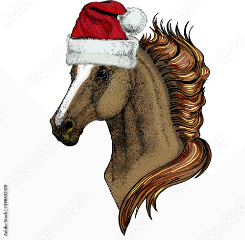 Horse head, horse portrait. Christmas red Santa Claus hat. Christmas winter animal vector portrait.