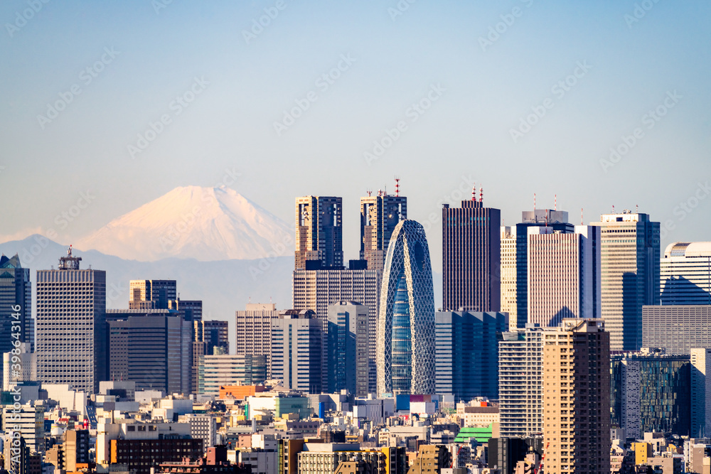 Fototapeta premium Tokyo skyline and Mountain fuji in Japan