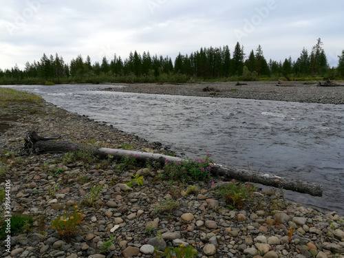 river  Valek in the tundra