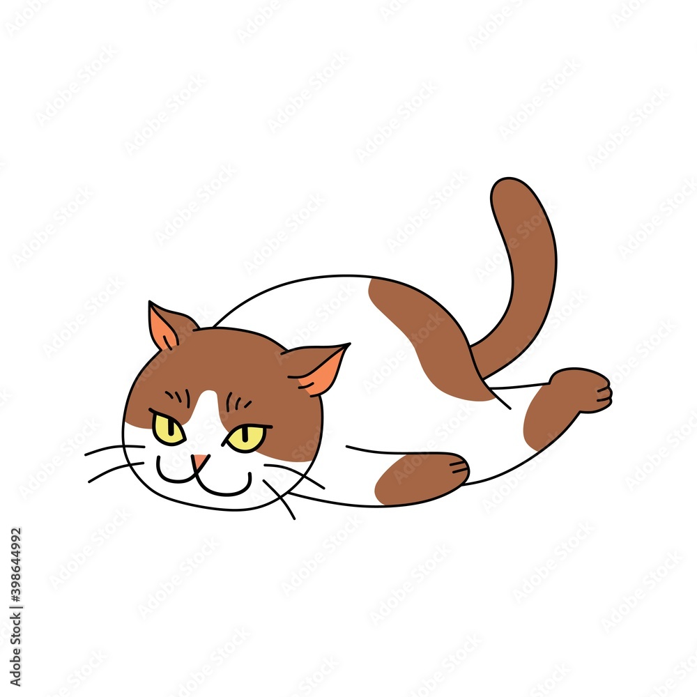 Naklejka premium vector graphics illustration of cute cat animal lying down