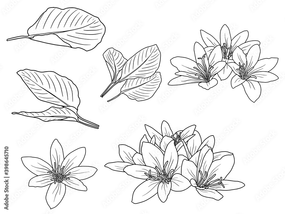 Fototapeta premium Flowers Line Art Arrangements. You use on greeting card, frame, shopping bags, wall art, wedding invitation, decorations, and t-shirts