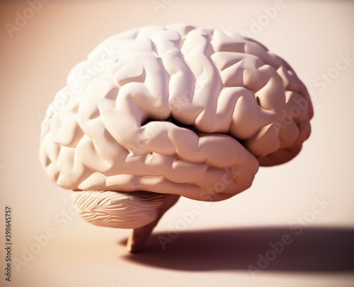 Human brain standing on soft color background. 3D illustration