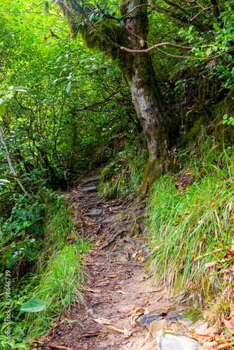 Hike on the long-distance hiking trail. Narrow path at the hillside