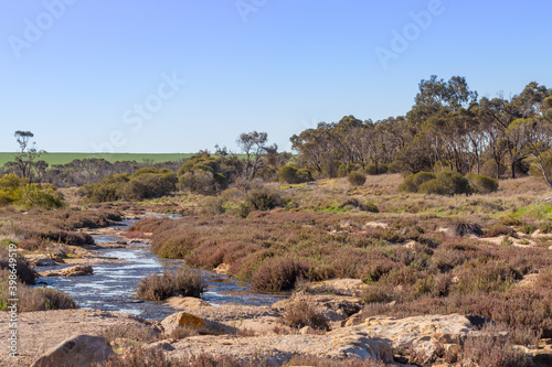 Small River close to Ravensthorpe in Western Australia