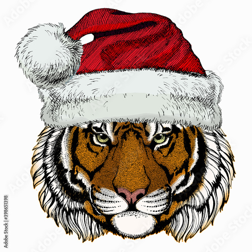 Vector tiger portrait. Christmas winter animal. Animal head. Christmas red Santa Claus hat.