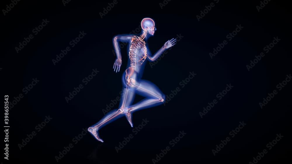 Athlete running seamless loop, x-ray render, black background Athlete running seamless loop, x-ray render, black background