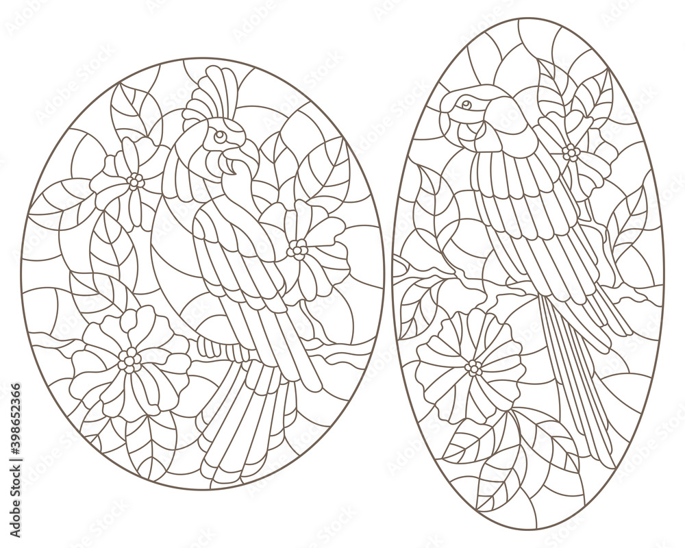 Set of contour illustrations of stained glass Windows with parrots and flowers, dark outlines on a white background, oval images Set of contour illustrations of stained glass Windows with parrots and flowers, dark outlines on a white background, oval images