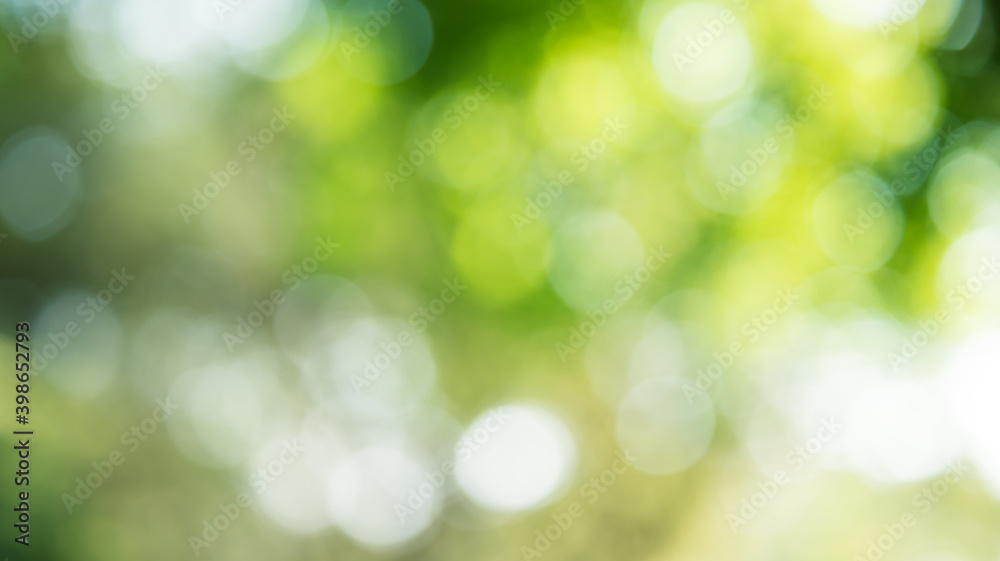Autumn bokeh and light background in the garden Autumn bokeh and light background in the garden