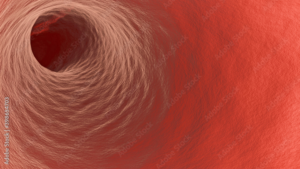 Naklejka premium Illustration eines Blutgefäßes von innen
