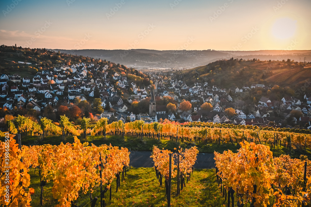 Beautiful vineyard landscape with a village surrounded by colorful vineyards during autumn. A historic church is in the center of the village.