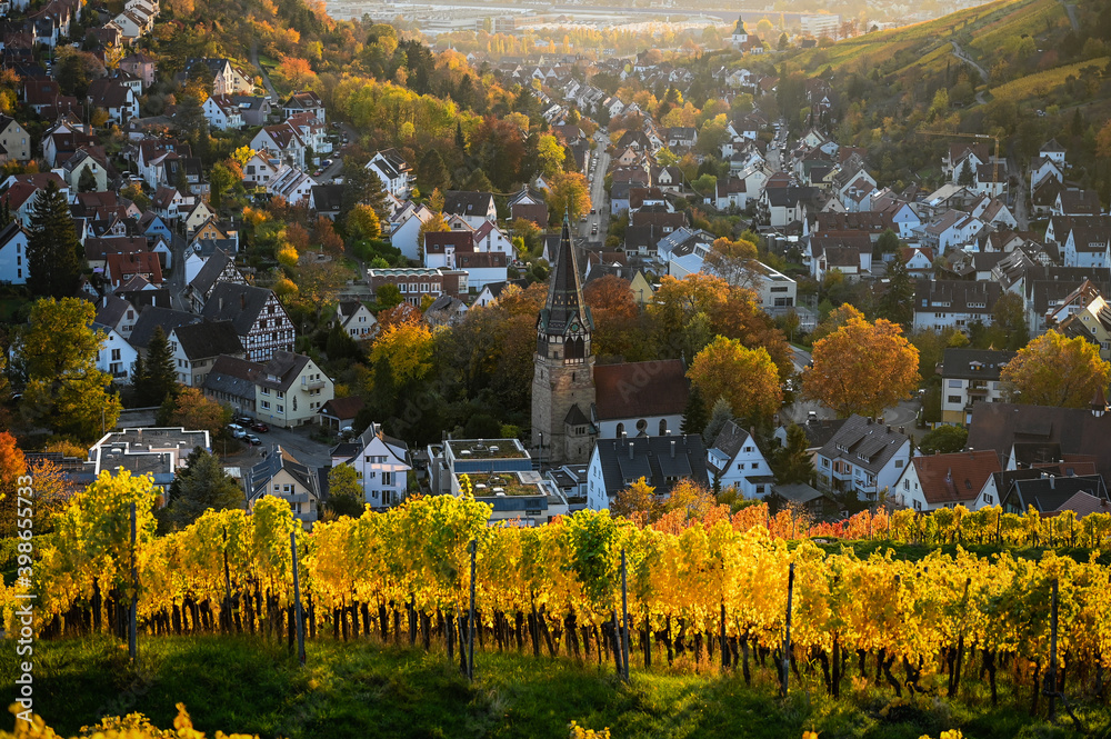 Beautiful sunset view of the Stuttgart suburb Uhlbach, Germany, which is surrounded by vineyards during autumn. A historic church is in the center of the village.