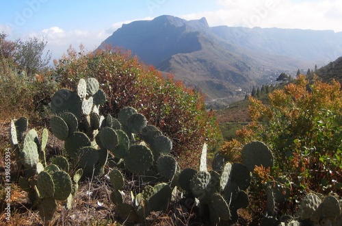 Beautiful mountain landscape with Opuntia on foreground in Gran Canaria - during trip to reservoir called Cueva De Las Ninas. Canary Islands, Spain.  photo