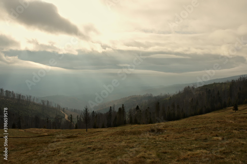 Autumn meadow with yellow grass. Autumn in the Mountains.