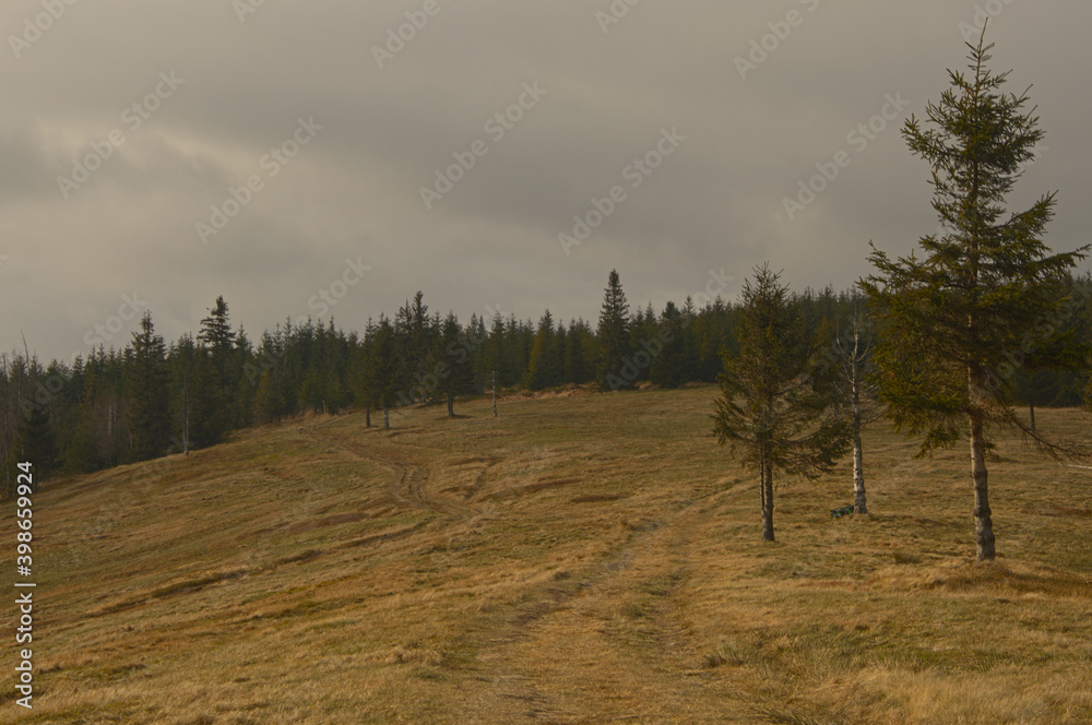 Hazy mountain meadow. Hazy landscape of mountain hills.
