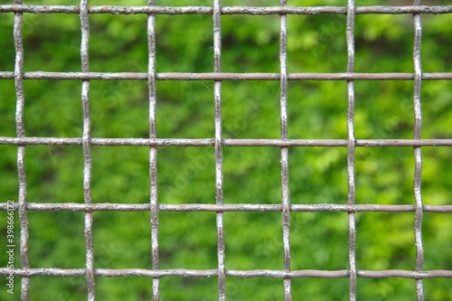 Fence mesh on a background of greenery outside.