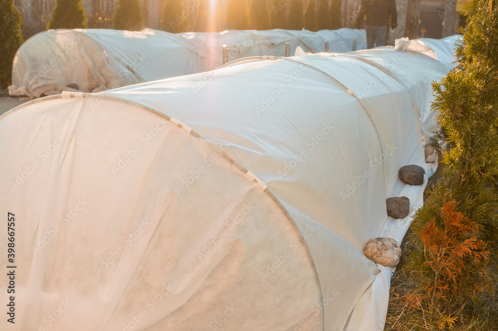 Shelter for winter spunbond plants on the site. Tunnel shelters of garden plants from winter bad weather with non-woven material on arcs Shelter for winter spunbond plants on the site. Tunnel shelters of garden plants from winter bad weather with non-woven material on arcs
