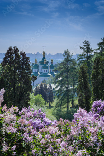 Lilac flowering near Vydubichi monastery photo