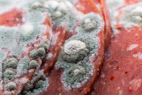 Old decaying pieces of sliced meat
