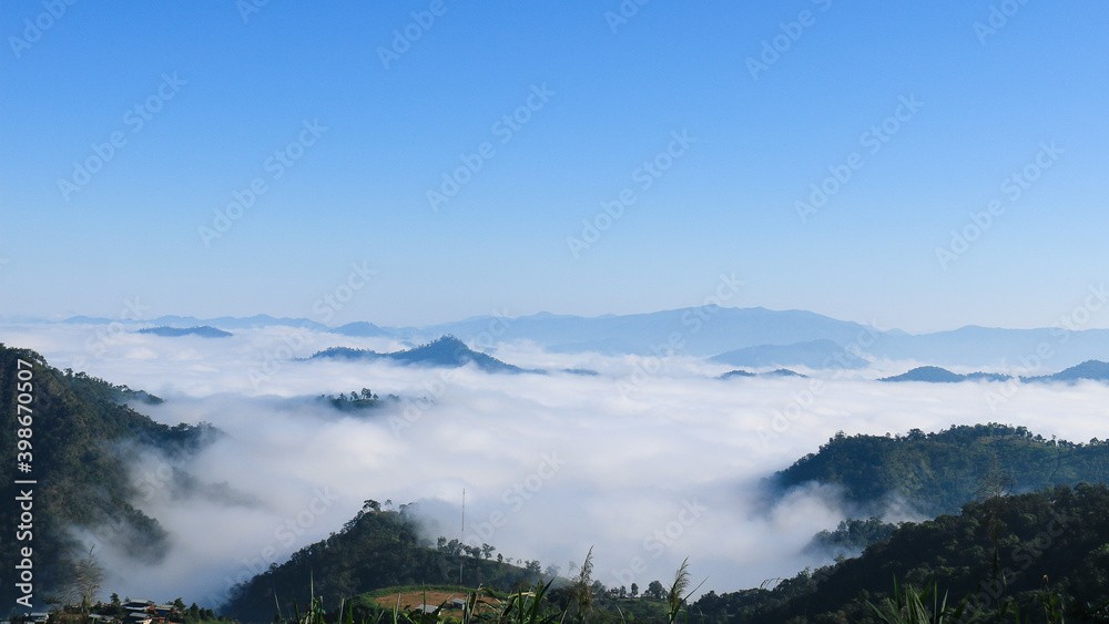 sea of ​​fog