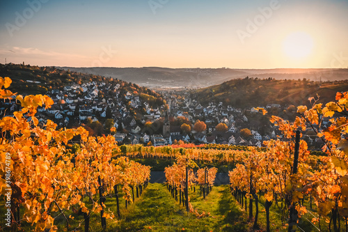Beautiful sunset view of the Stuttgart suburb Uhlbach, Germany, which is surrounded by vineyards during autumn. A historic church is in the center of the village.