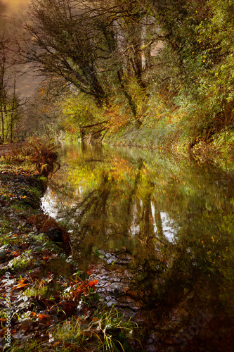 Fototapeta Naklejka Na Ścianę i Meble -  The Clydach to Pontardawe canal near the village of Trebanos in Swansea, South Wales UK
