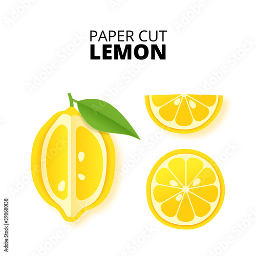 Set of lemon citrus fruit sliced whole in a paper cut style. Lemon slices and paper slices. Stock vector illustration. Isolated on white background vector illustration. Vector paper cut poster, banner