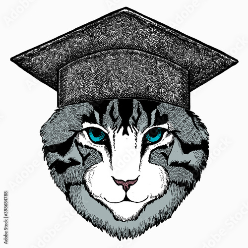 Cat head. Square academic cap, graduate cap, cap, mortarboard. Vector animal portrait. Face of kitten.