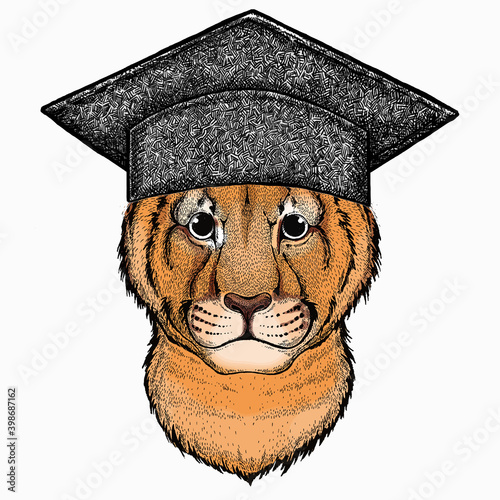 Vector portait of small baby lion head, face. Square academic cap, graduate cap, cap, mortarboard. Safari animal.