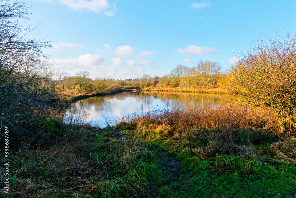 Winter sky reflected in a small woodland pond with treelined banks