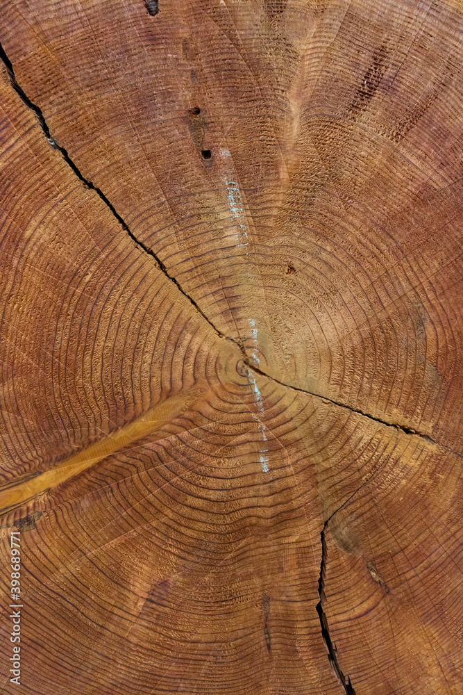 Naklejka premium Maison du Bois Museum, Méolans-Revel Village, Ubaye Valley, Vallée de l'Ubaye, Alpes Haute Provence, France, Europe