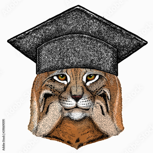 Lynx, bobcat. Square academic cap, graduate cap, cap, mortarboard. Wild cat. Vector portrait of cat head.