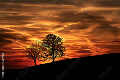 Silhouette of two bare trees on a beautiful sunset in winter.