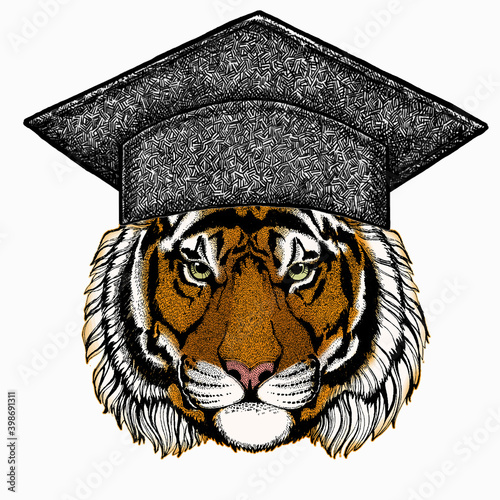 Vector tiger portrait. Square academic cap, graduate cap, cap, mortarboard. Animal head.