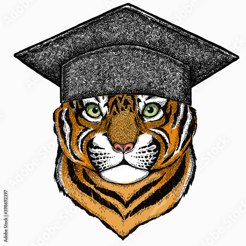 Baby tiger, small little tiger for children. Square academic cap, graduate cap, cap, mortarboard.
