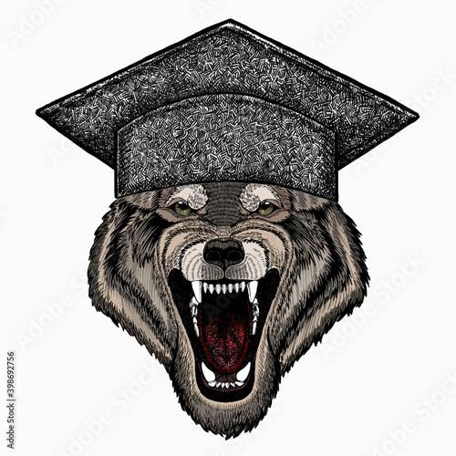 Vector portrait of wolf. Square academic cap, graduate cap, cap, mortarboard. Cool wild wolf. Animal head.