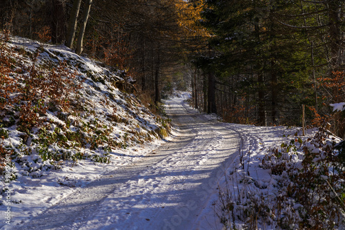 Fototapeta Naklejka Na Ścianę i Meble -  Road covered with snow in Beskid Mountains