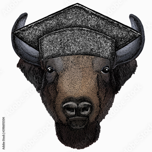 Vector bison head. Square academic cap, graduate cap, cap, mortarboard. Portrait of bull, buffalo.