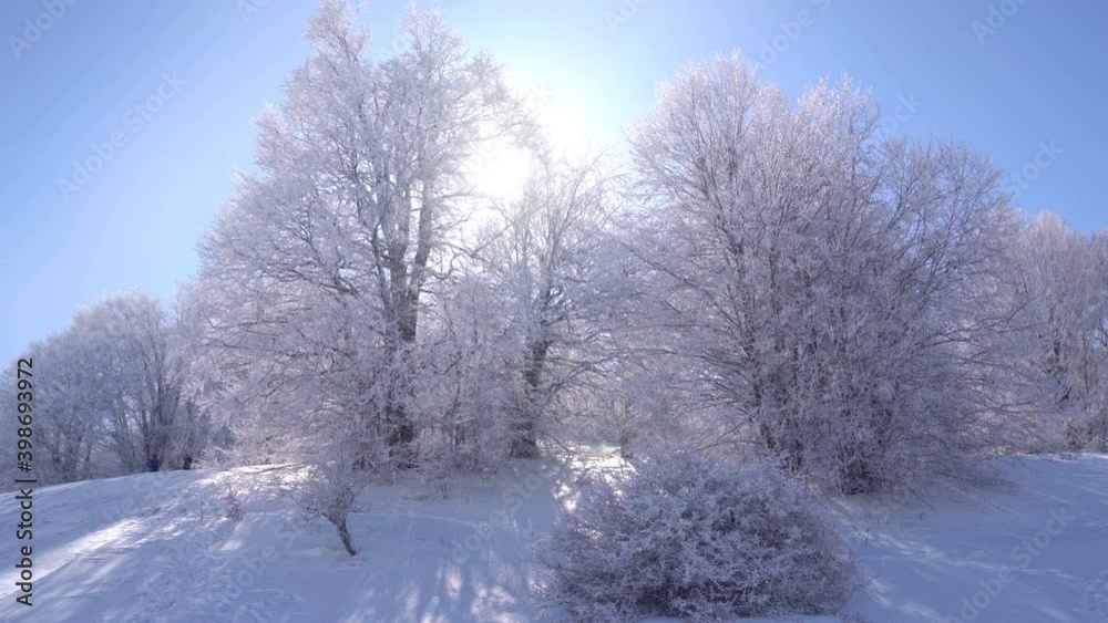 Snow winter forest. Fresh cold morning at a winter forest. Snow Winter Background. Snow winter forest. Fresh cold morning at a winter forest. Snow Winter Background.