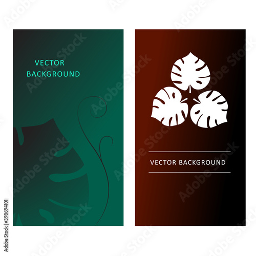 Modern banner template for Social network. Monstera leaf. Abstract background with plant elements. Vector illustration