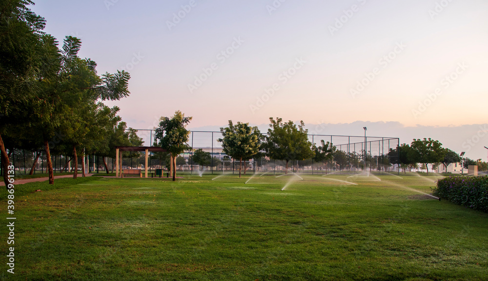 Fototapeta premium Early morning hour at the park. Outdoors
