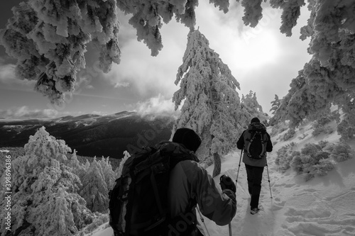 Dos senderistas caminan por un bosque helado