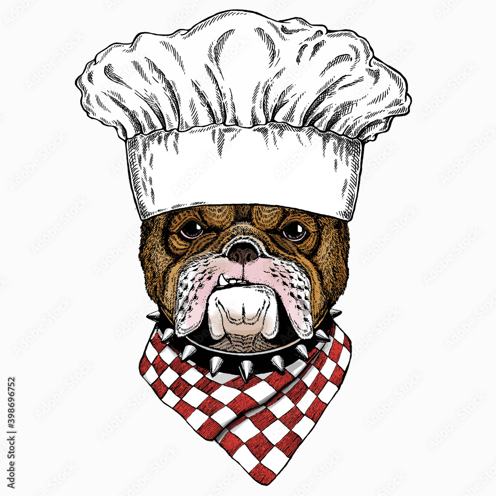 Bulldog portrait. Chef cook hat. Restaurant logo. Dog head. Animal face ...
